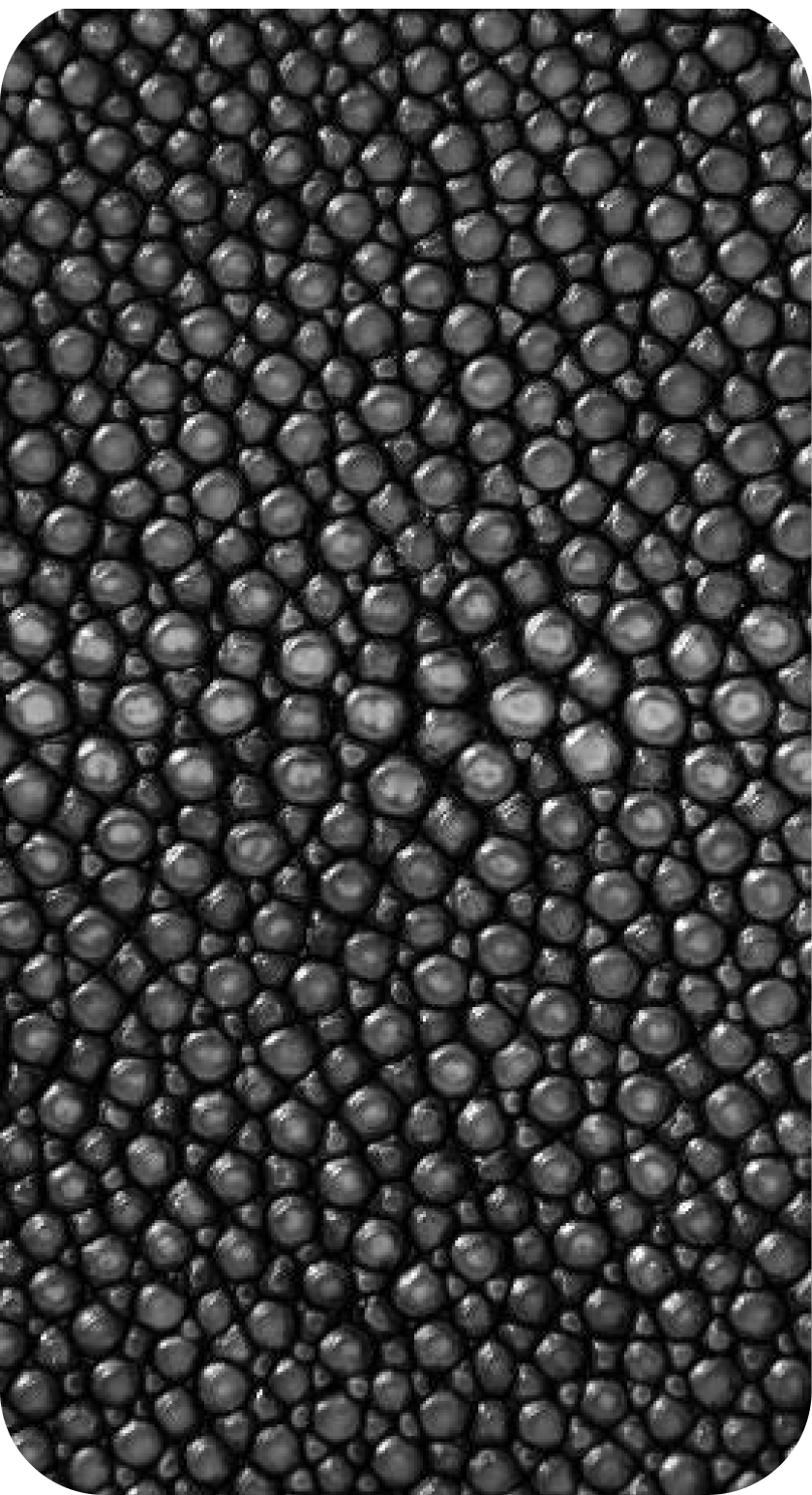 Sting ray leather texture from ZYDHNEY leather collection